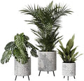 EverNest Tristan Neutral Minimal White and Black Modern Style Planter with Nyra Stand, SelectBase Plant Pots, Indoor Planter, Boho Home Decor, Minimalist Pot for Plants (Set of 3, Black) by EverNest