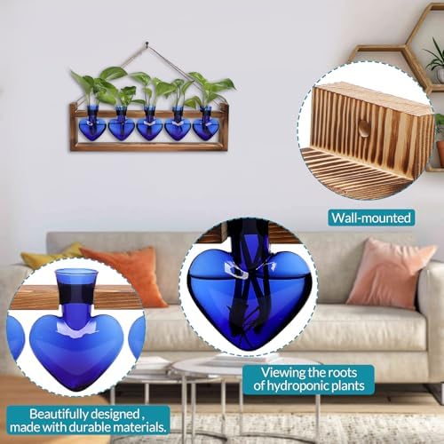 Plant Terrarium Hanging Propagation Stations Gift for Women - Image 4