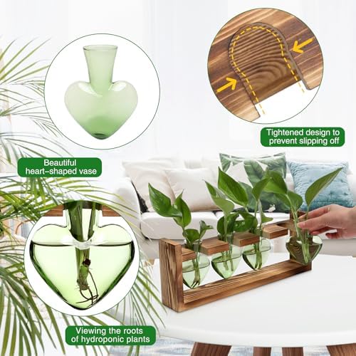 Plant Propagation Stations Heart Plant Terrarium Kit - Image 2