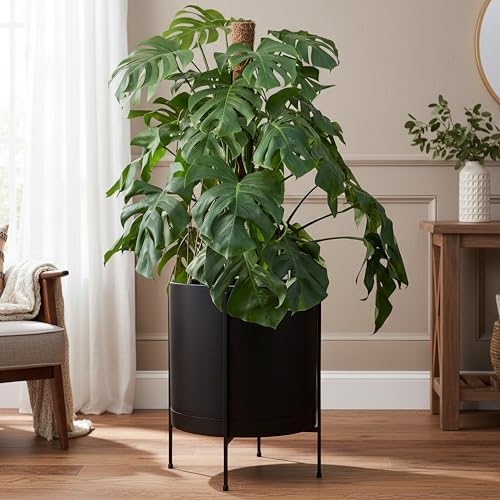 D'vine Dev Plastic Planter Pot with Metal Stand, Black, 16 in, 55-D-B-5 - Image 6