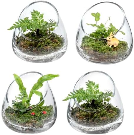 MyGift 5 Inch Premium Clear Glass Air Plant Terrarium, Tealight Candle Holder, Succulent Cactus Plant Vase, Set of 4 by MyGiftHome
