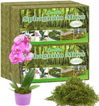 Sphagnum Moss 4.4 LB Long Fiber Green Forest Moss by ZeeDix