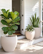 homenote 14.5/12/9.6 Inch Large Plastic Flower Pots with Drainage (3 Pcs) - Image 6