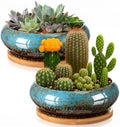 2 Pcs 7.3'' Shallow Succulent Planters Pots, Blue by Acellegic