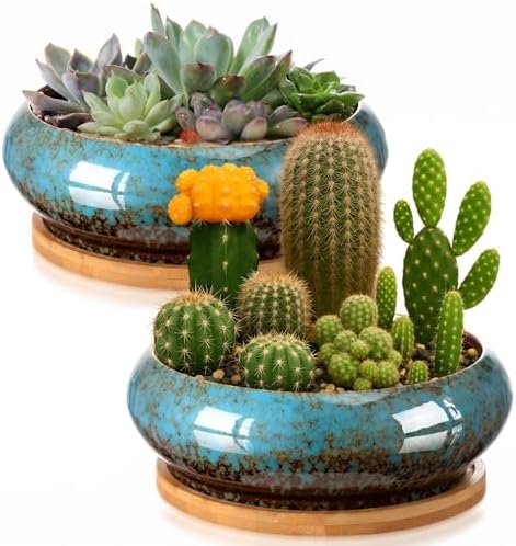 2 Pcs 7.3'' Shallow Succulent Planters Pots, Blue by Acellegic
