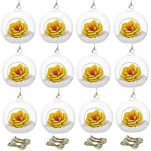 NUPTIO Hanging Glass Terrarium Globes, 12 Pcs, 4 Inch by Nuptio