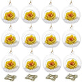NUPTIO Hanging Glass Terrarium Globes, 12 Pcs, 4 Inch by Nuptio