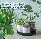 Phoenix Vine 12 Inch Plastic Plant Saucer Water Drip Tray, Heavy Sturdy Round Plant Drainage Tray for Indoors Outdoor, Set of 2, Matte Black, 21-TY-12B-2 - Image 3