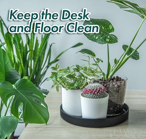 Phoenix Vine 12 Inch Plastic Plant Saucer Water Drip Tray, Heavy Sturdy Round Plant Drainage Tray for Indoors Outdoor, Set of 2, Matte Black, 21-TY-12B-2 - Image 3