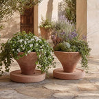 Yungyan 2 Set 7'' Rustic Terracotta Plant Pot with Drainage Saucer Vintage Breathable Clay Planter Farmhouse Flower Pot Distressed Finish for Flower Succulent Modern Home Garden Decor(Tapered) - Image 5