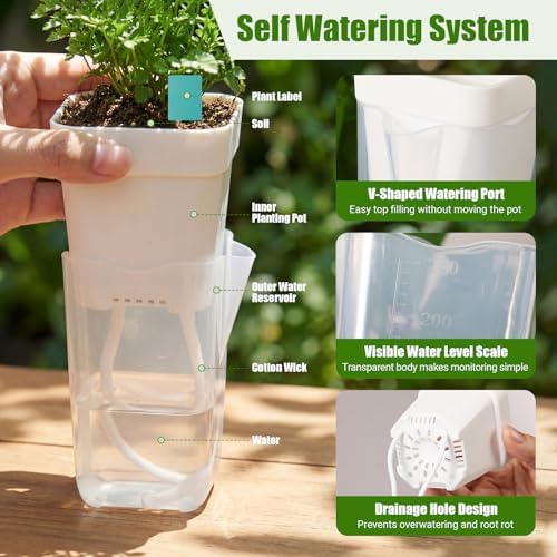30 Pack 2.5" Small Self Watering Pots for Indoor Plants Clear Mini Self Watering Plant Pot with Water Level, Drainage Holes 30 Plastic Label 3 Planting Tools, Rope for Propagation Succulents - Image 3