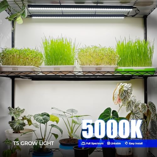 Barrina T5 Grow Lights for Indoor Plants, 2FT 5000K Full Spectrum, 4 Packs - Image 3