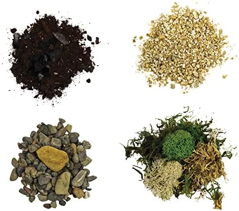 Cute Farms Terrarium Starter Kit | Moss, Vermiculite, Soil, Pebbles, Plant Food, Finishing Tools, Build and Care Guide | DIY Succulent Terrarium for Adults and Kids (Large) - Image 4