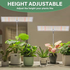 LORDEM Grow Light for Indoor Plant, Full Spectrum LED Plant Light, Height Adjustable Growing Lamp with Auto On/Off Timer 4H/8H/12H, 4 Dimmable Brightness, Ideal for Home Desk Plant Lighting, 2 Pack - Image 2