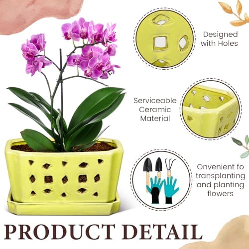 Teenyyou 9.5" Orchid Pot Ceramic with Hole Saucer for Repotting, Yellow - Image 3