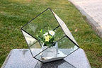 WGV Geometric Planter Terrarium, Width 11.5" Height 12" Clear Glass Black Frame DIY Succulent air Plant Miniature Fairy Garden Windowsill Tabletop Decor, Tilted Cube 1 Piece - Image 3