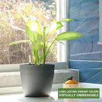 Dexceder 9x8 Self Watering Planters Indoor (2 Pack, Gray) - Image 6