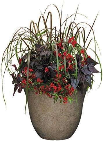 Classic Home and Garden Honeysuckle Resin Flower Pot Planter, Fossil Stone, 15" (Pack of 2) - Image 6