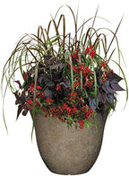 Classic Home and Garden Honeysuckle Resin Flower Pot Planter, Fossil Stone, 15" (Pack of 2) - Image 6