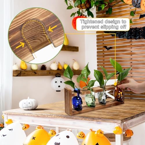 Plant Propagation Stations Halloween Skull Plant Terrarium Kit - Image 2