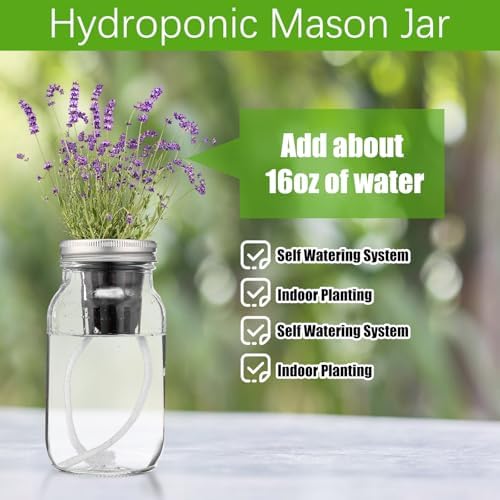 Teenyyou 6 Set Hydroponic Mason Garden Jar Kit Self Watering Herb Hydroponic Planter Starter Kit with Net Pot Garden Flower Plant Growing Gift for Indoor Herbs Windowsill Gardening - Image 3