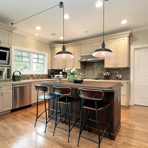 Plug in Pendant Light With Switch,Vintage Industrial Design,16.4ft Cord,Adjustable Pulley,Easy Install,Ideal For Living Room,Pool Table,Bedroom,Kitchen,Sloped Ceiling,Bar,Outdoor Shed(Silver Black) - Image 6
