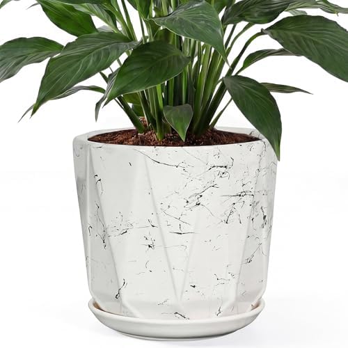 10 Inch Ceramic Plant Pot with Drainage Hole Mesh Net, Large Flower Pots for Indoor Plants with Saucer, Gardening Pots Outdoor (White Silk) by Unknown