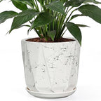 10 Inch Ceramic Plant Pot with Drainage Hole Mesh Net, Large Flower Pots for Indoor Plants with Saucer, Gardening Pots Outdoor (White Silk) by Unknown