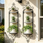 2 Pcs Metal Hanging Baskets for Plants Outdoor Wall Plant Holder Wall Mounted Hanging Planter Vase for Indoor Outdoor Plants Window Plant Shelves Hanging Planters for Indoor Plants and Flowers by AQQHSAIN