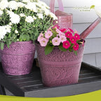 Headwind IronLite Ensley – 8" Plum Decorative Metal Planter with High‑Gloss Embossed Design – Indoor Plant Pot with Drainage Hole & Modern Round Style for Home & Outdoor Use by Robert Allen - Image 3