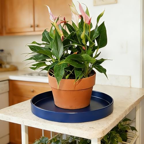 1 Pack 16 inch Plant Saucer Drip Tray, Heavy Sturdy Plastic Planter Flower Pot Drainage Tray Plate Saucers for Indoor Outdoor Garden, Plant Water Drip Trays for pots Base (16", Blue) - Image 3