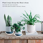 2 Pack of 16 inch Plant Saucer, Large Plant Tray, Heavy Sturdy Plant Drainage Tray for Indoors, Bird Bath Bowls, Sturdy 18 inch Plastic Pot Tray for Planter Clear - Image 3