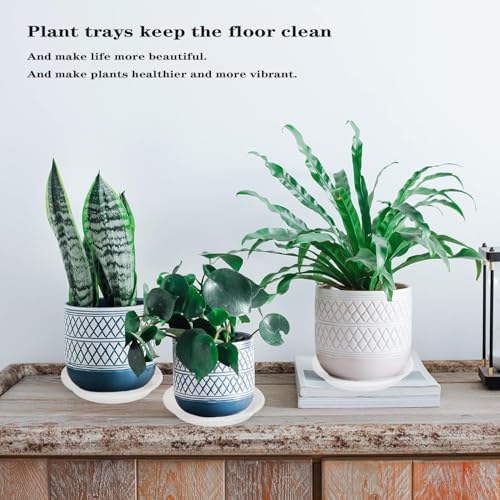 2 Pack of 16 inch Plant Saucer, Large Plant Tray, Heavy Sturdy Plant Drainage Tray for Indoors, Bird Bath Bowls, Sturdy 18 inch Plastic Pot Tray for Planter Clear - Image 3