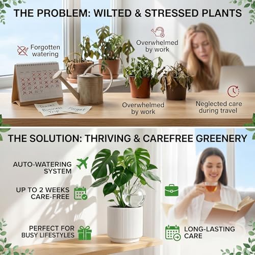 4 Pack 26 oz Extra Large Plant Self Watering Globes to 2 Weeks Watering - Image 5