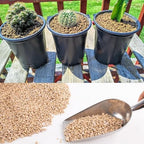 45lb Maifanitum Stones for Succulent Cactus Bonsai Decorative Rocks-Indoor Plants Soil Covers,Horticultural Gravel, Potting Pebbles for Terrarium, Fairy Gardening, Top Dressing - Image 4