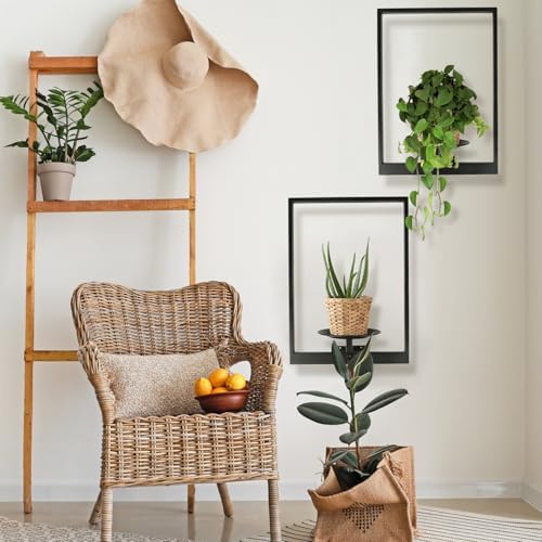 Plant Wall Shelf, Metal Modern Style Frame, Picture Wall Plant Holder, Plant Frames for Living Space Decor Display Stand for Living Room Balcony Garden Patio (2 PACK(BLACK)) - Image 6