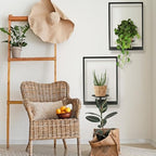 Plant Wall Shelf, Metal Modern Style Frame, Picture Wall Plant Holder, Plant Frames for Living Space Decor Display Stand for Living Room Balcony Garden Patio (2 PACK(BLACK)) - Image 6