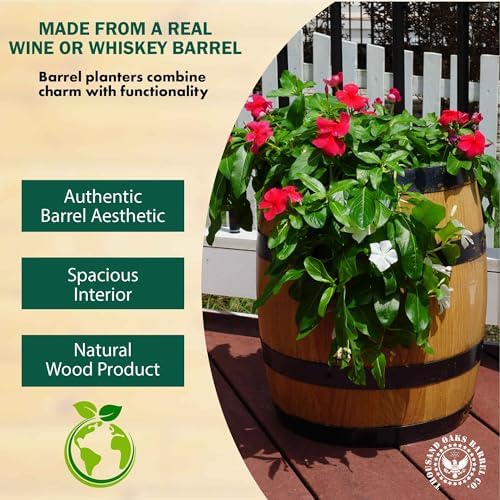 5 Inch Tall Small Whiskey Barrel Planter Pot, Solid Oak Wood for Outdoor Garden - Image 2