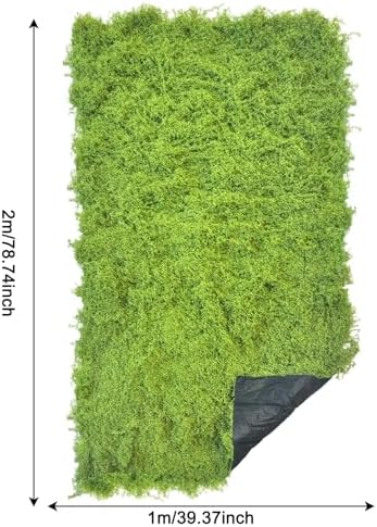 Preserved Green Moss Mat for Decoration Carpet Grass Wall, Natural Decorative for Plants Indoor with Base Fabric, Artificial Moss Mat for Wedding, Floral DIY (39.37 * 78.74 inch) - Image 2