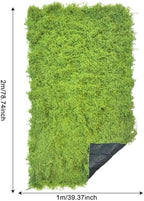 Preserved Green Moss Mat for Decoration Carpet Grass Wall, Natural Decorative for Plants Indoor with Base Fabric, Artificial Moss Mat for Wedding, Floral DIY (39.37 * 78.74 inch) - Image 2