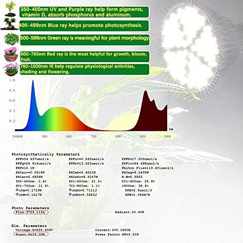 MILYN LED Grow Light Bulb for Indoor Plants Full Spectrum Pure White Grow Lamp, 2 Pack 100W E26 LED Plant Bulb for Seedlings, Flowers, Greenhouse, Vegetable, Succulent, Houseplants, Hydroponic - Image 4