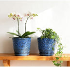 Gepege Ceramic Plant Pots, 6 Inch Indoor Planters with Drainage & Saucers - Image 5