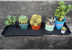 VUWEZ 2 Pack Plant Growing Nursery 1020 Trays, Plant Saucer Tray, Heavy Sturdy Seed Starting Trays, Plant Saucer for Indoors No Holes, Seed Starter Growing Tray (22"x11.2", Black) - Image 6