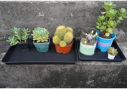 VUWEZ 4 Pack Plant Saucer Tray Rectangular, Plant Growing Nursery Trays, Heavy Sturdy Seed Starting Trays, Plants Starter Saucers for Indoors No Holes, Seed Starter Growing Tray (17.5"x10.6", Black) - Image 6