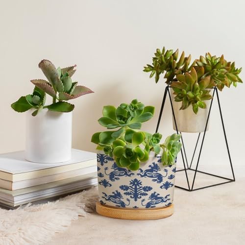 Blue Regalia Planters Ceramic Regalia in Blue Round Plant Pots with Drainage Holes and Bamboo Tray Pot for Home Office Decoration - Image 4