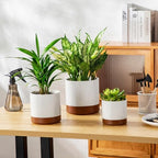 vancasso Ceramic Plant Pots, 4.25+5.25+6.25 Inch Planter Pot with Drainage Hole, Flower Pots for Indoor Outdoor Plants, Set of 3, Khaki - Image 4