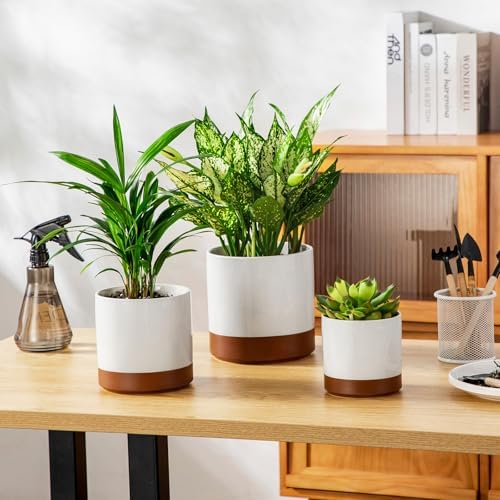 vancasso Ceramic Plant Pots, 4.25+5.25+6.25 Inch Planter Pot with Drainage Hole, Flower Pots for Indoor Outdoor Plants, Set of 3, Khaki - Image 4