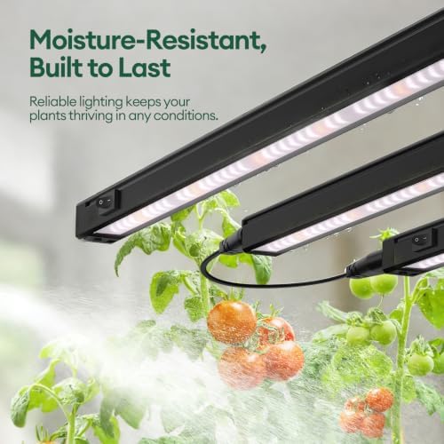 Maygrove Grow Lights for Indoor Plants, Tunable Spectrum 2FT LED Growing Lamp 120W (8 x 15W), T5 Grow Light Strip for Seed Starting, Vegetables, Linkable, Black, 8-Pack - Image 6