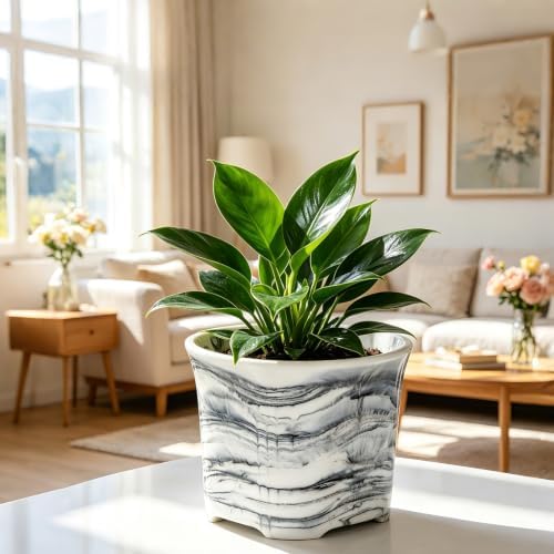 8Inch Marble Resin Plant Pot with Drainage Hole square Decor Flower Planter - Image 7