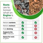 Bonsai Outlet Bonsai Soil Mix - Tinyroots All Purpose Bonsai Soil Mix Ready to Use Blend, Used for All Varieties of Bonsai Trees, 2.5 Gallons - Image 3